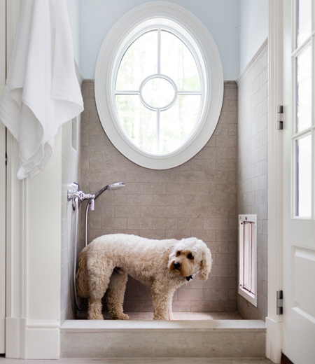 dog shower at home